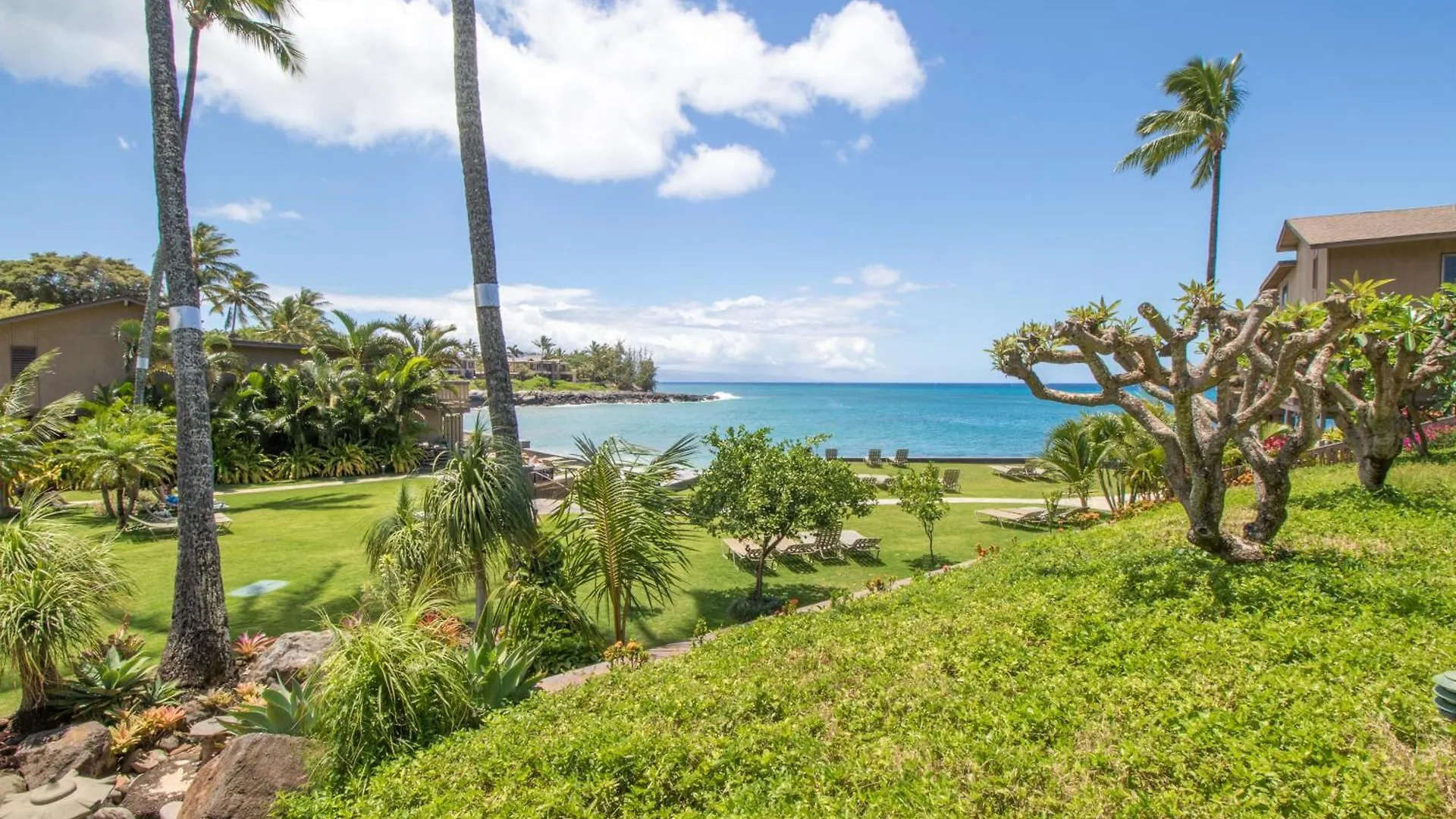 Holiday home Ground Floor W/ Ocean Views! Ks B3B - Sullivan Kahana